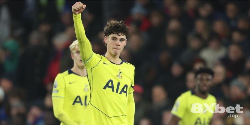 8868体育 - BOB体育