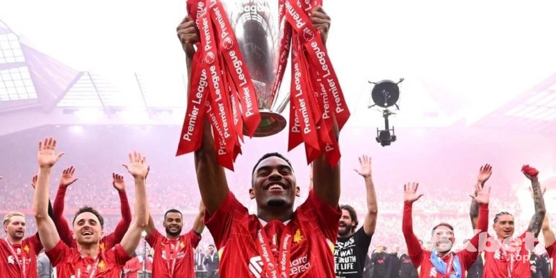 8868体育 - cuba大学生篮球联赛